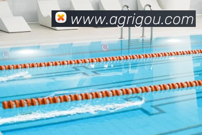 APP界面展示
